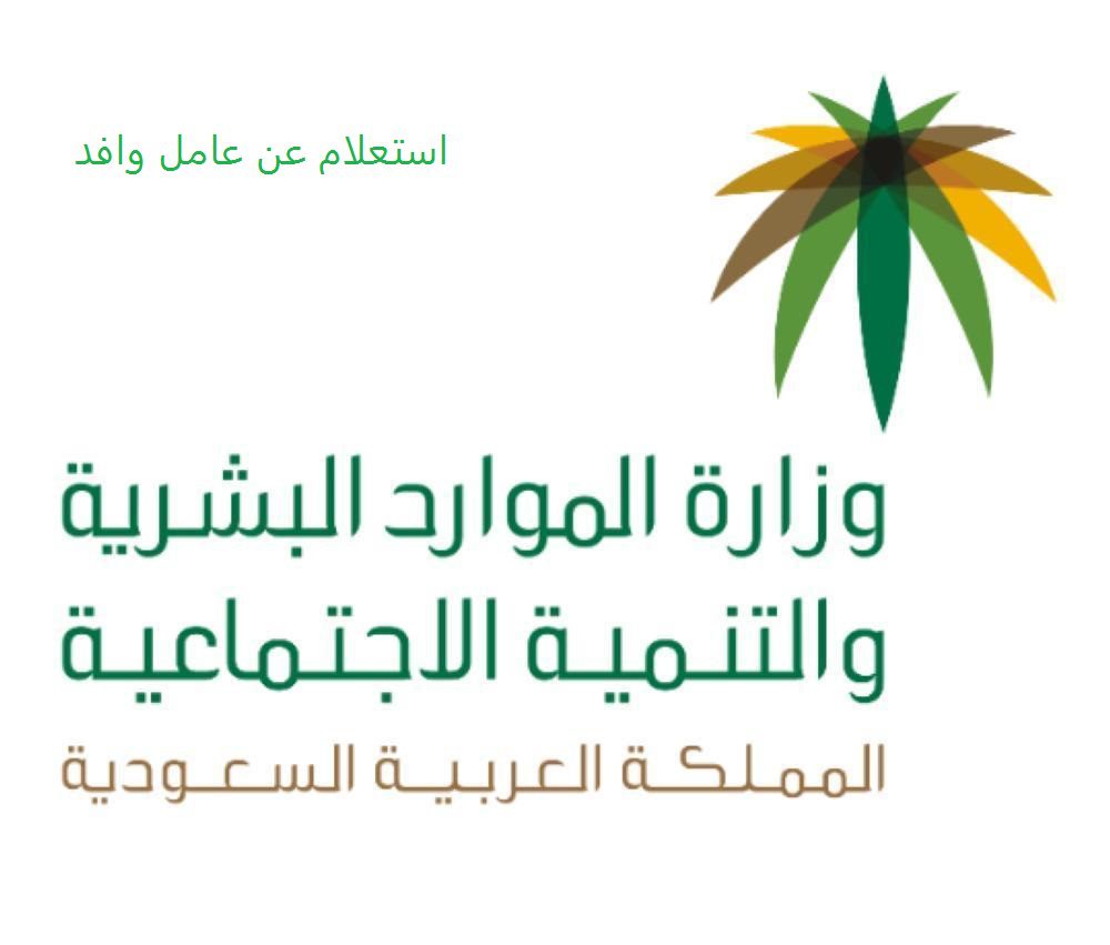 البحث عن عامل وافد و طريقة استعلام عن وافد نقل كفالة وزارة العمل