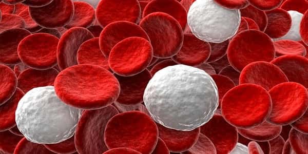 لماذا تحليل monocytes مرتفع؟